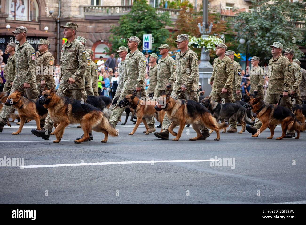 Ukraine, Kiev - 18 août 2021 : chiens de garde de berger au poste de garde-frontière. Marche militaire ukrainienne dans le défilé. Infanterie de l'armée. Hommes dans la rue Banque D'Images