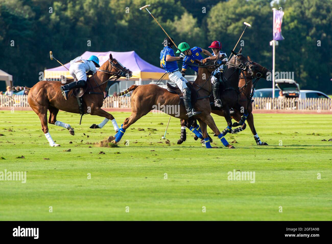 Egham, Surrey, Royaume-Uni. 22 août 2021. Affrontez-le sur le terrain de polo entre l'équipe de polo Park place et l'équipe de polo Monterosso. Crédit : Maureen McLean/Alay Banque D'Images