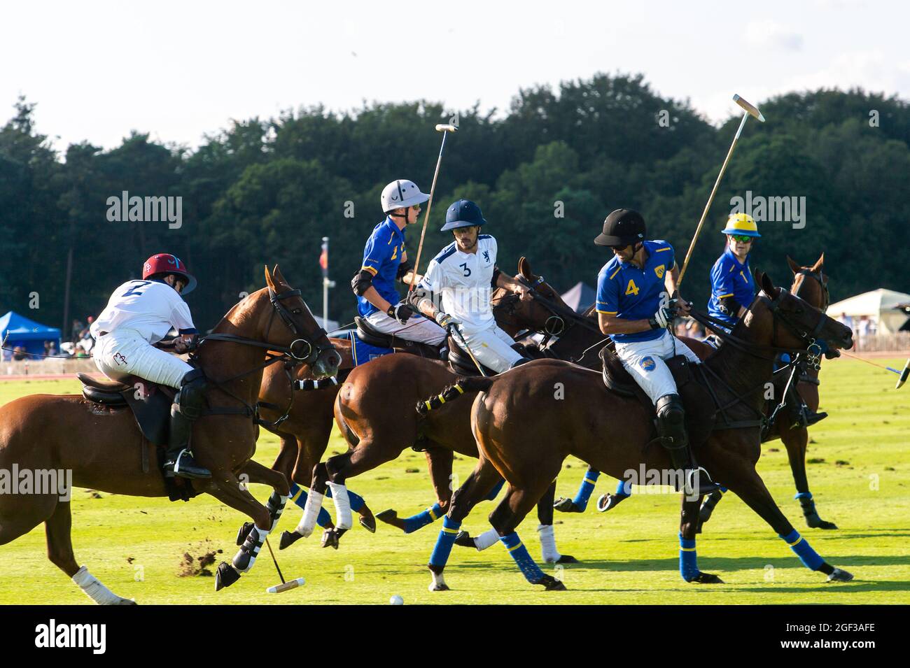 Egham, Surrey, Royaume-Uni. 22 août 2021. Affrontez-le sur le terrain de polo entre l'équipe de polo Park place et Monterosso. Crédit : Maureen McLean/Alay Banque D'Images