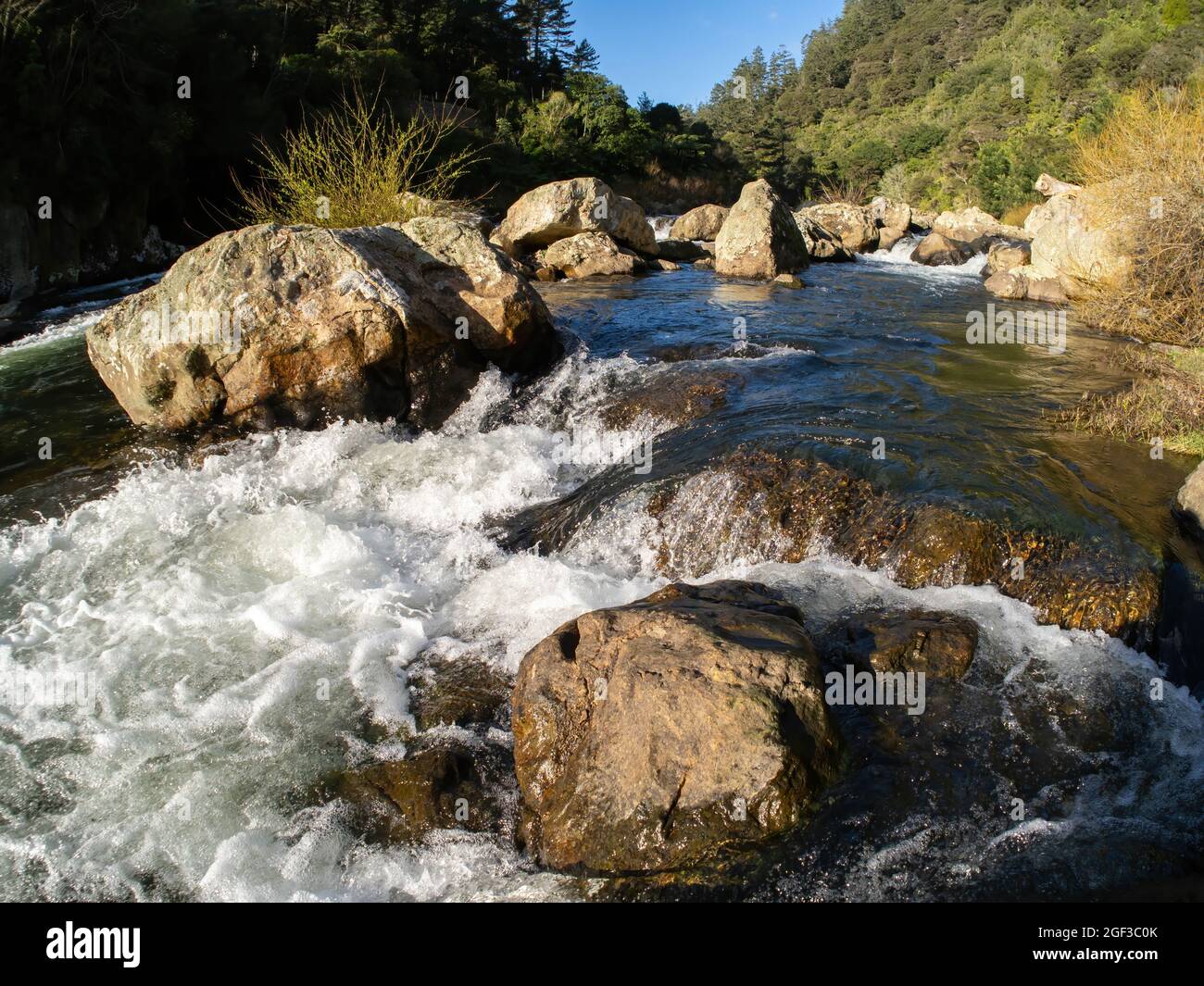 Rivière Ohinemuri dans la gorge de Karangahake, Nouvelle-Zélande Banque D'Images