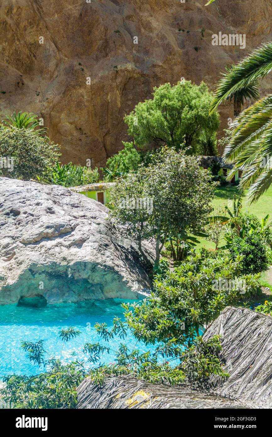 Piscine dans l'oasis Sangalle au fond du canyon de Colca, Pérou Banque D'Images