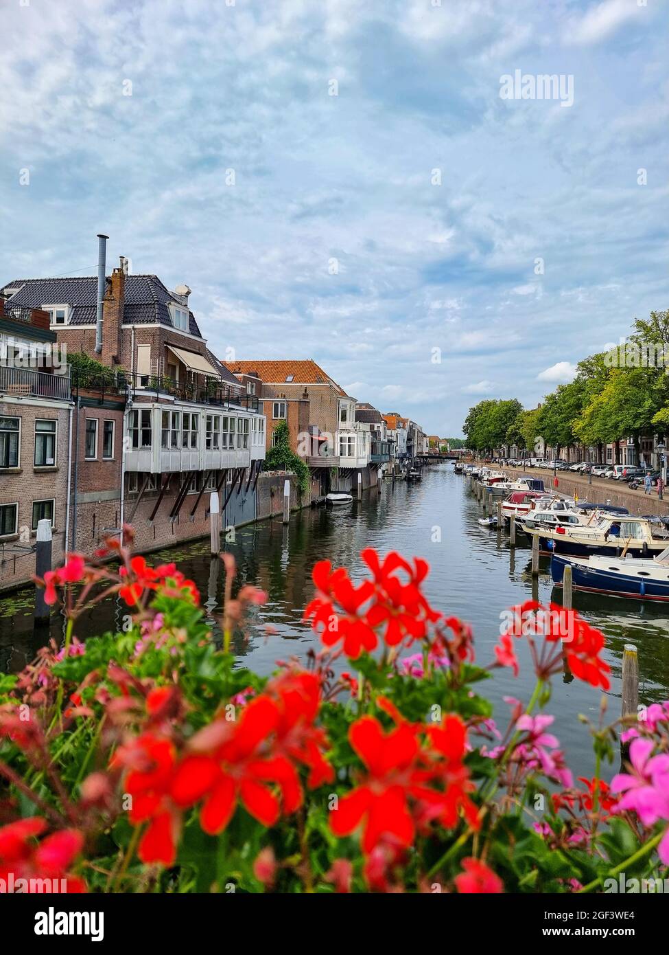 Gorinchem pays-Bas août 2021, Maisons, bateaux et arbres sur le canal  hollandais. Avec des fleurs au premier plan et un ciel bleu avec des nuages  en arrière-plan. Ville de Gorinchem, pays-Bas Photo