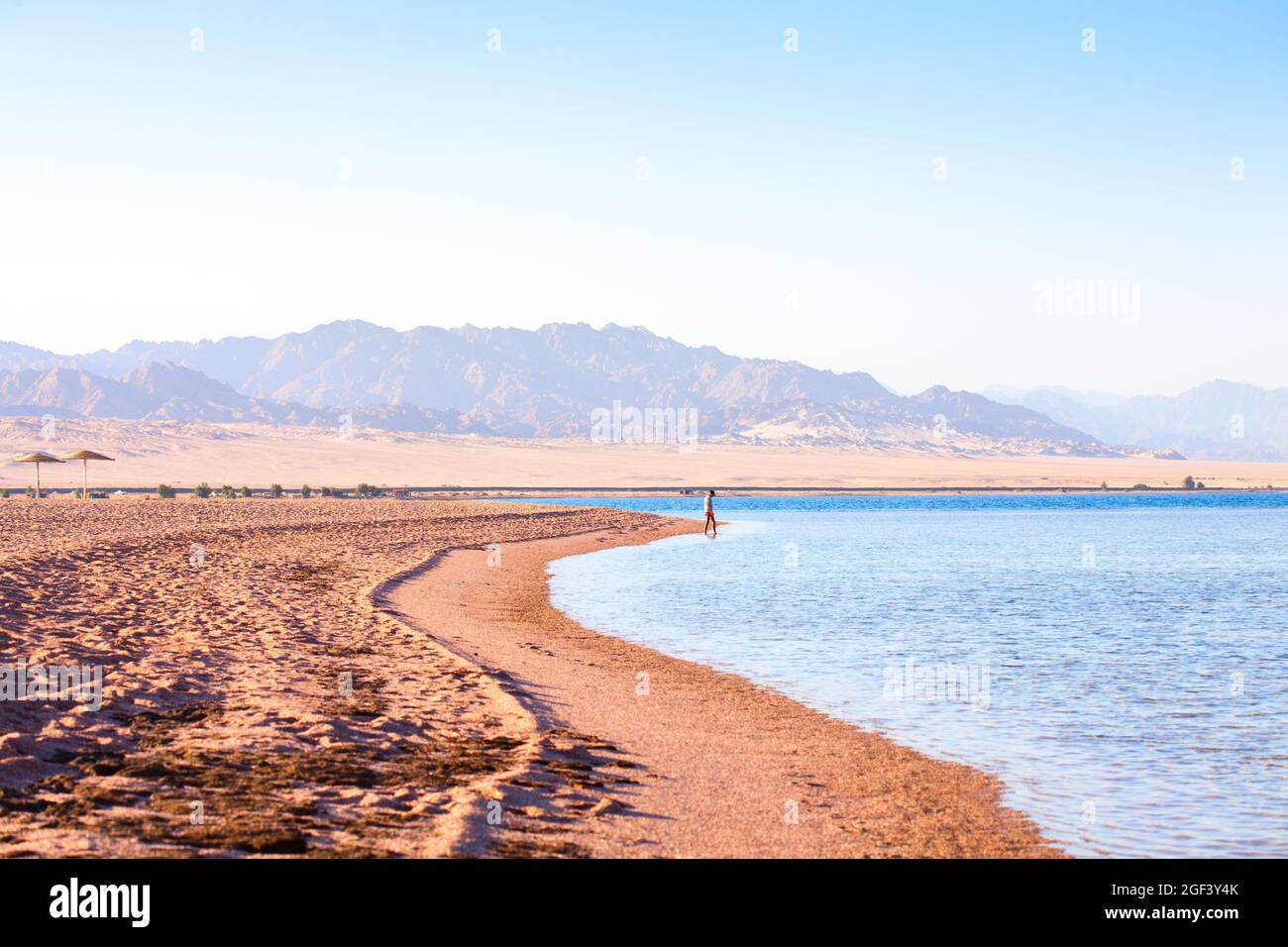 Côte de Nabq, au nord de Charm El-Cheikh, avec vue sur le golfe d'Aqaba, le Sinaï Sud, Egypte, Banque D'Images