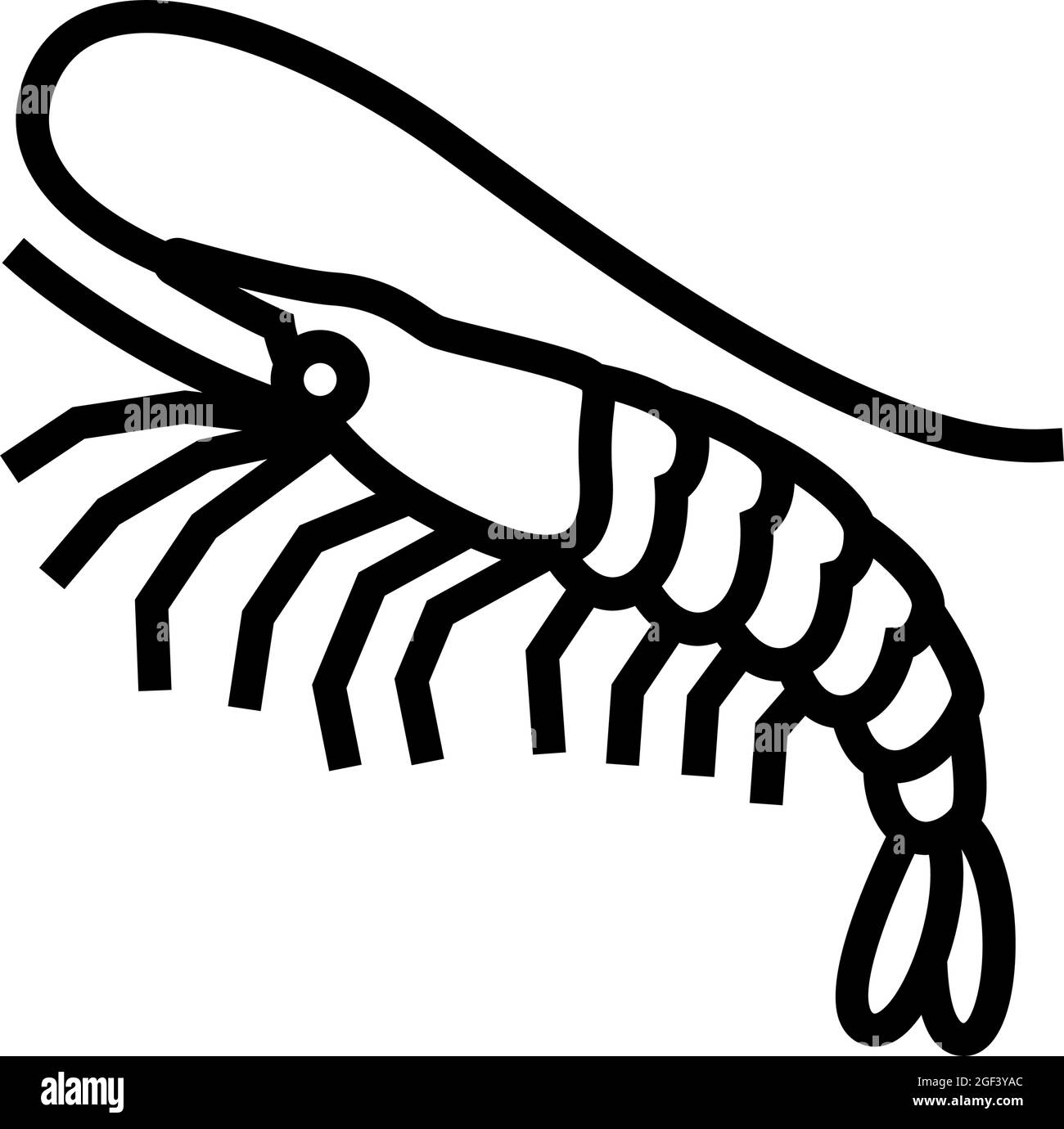illustration vectorielle de l'icône représentant une ligne de crevettes blanches Illustration de Vecteur