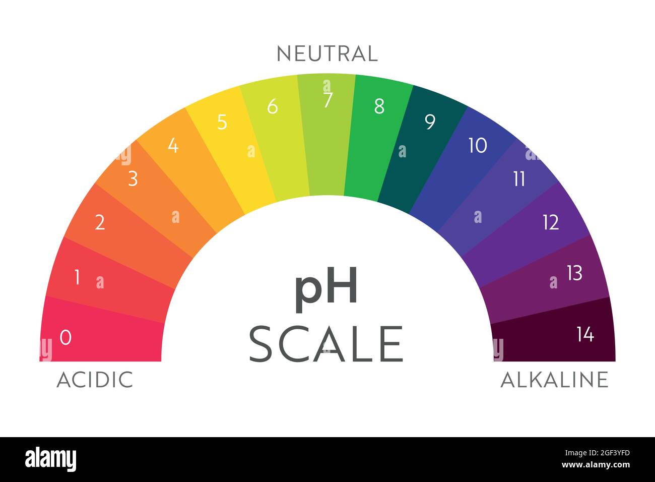 Graphique de l'échelle de pH. Infographie sur l'équilibre acido-basique. Affiche sur l'éducation Illustration de Vecteur