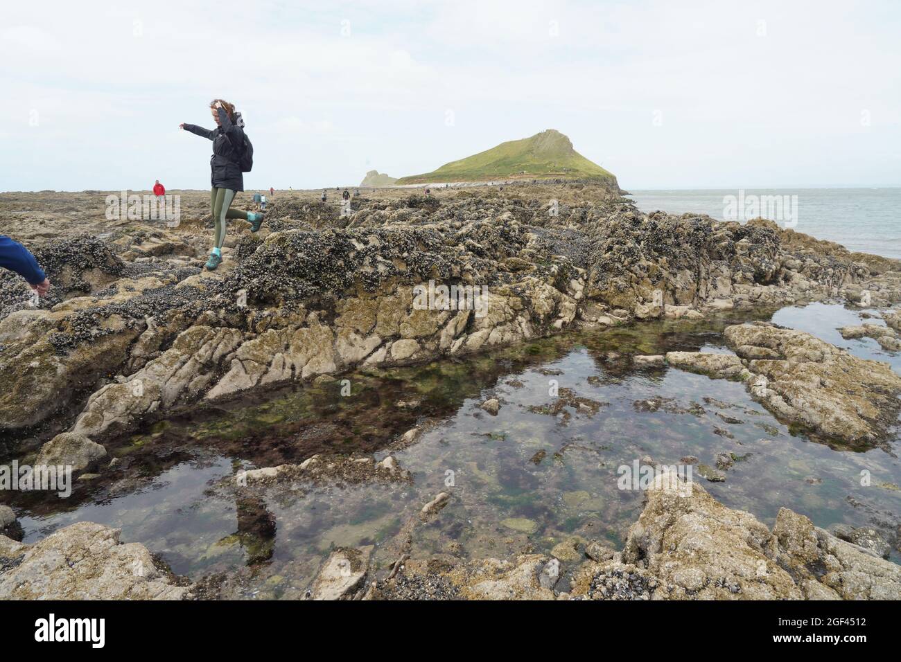 Vue sur la chaussée de Worm's Head près de Rhossili, sur la péninsule de Gower, dans le sud du pays de Galles. Date de la photo : dimanche 8 août 2021. Photo: Richard Gray/Alay Banque D'Images