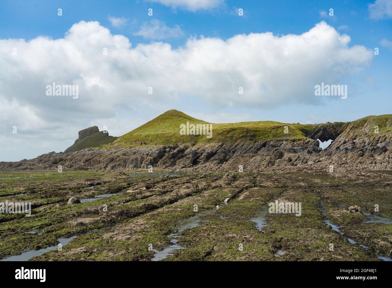 Vue sur la chaussée de Worm's Head près de Rhossili, sur la péninsule de Gower, dans le sud du pays de Galles. Date de la photo : dimanche 8 août 2021. Photo: Richard Gray/Alay Banque D'Images