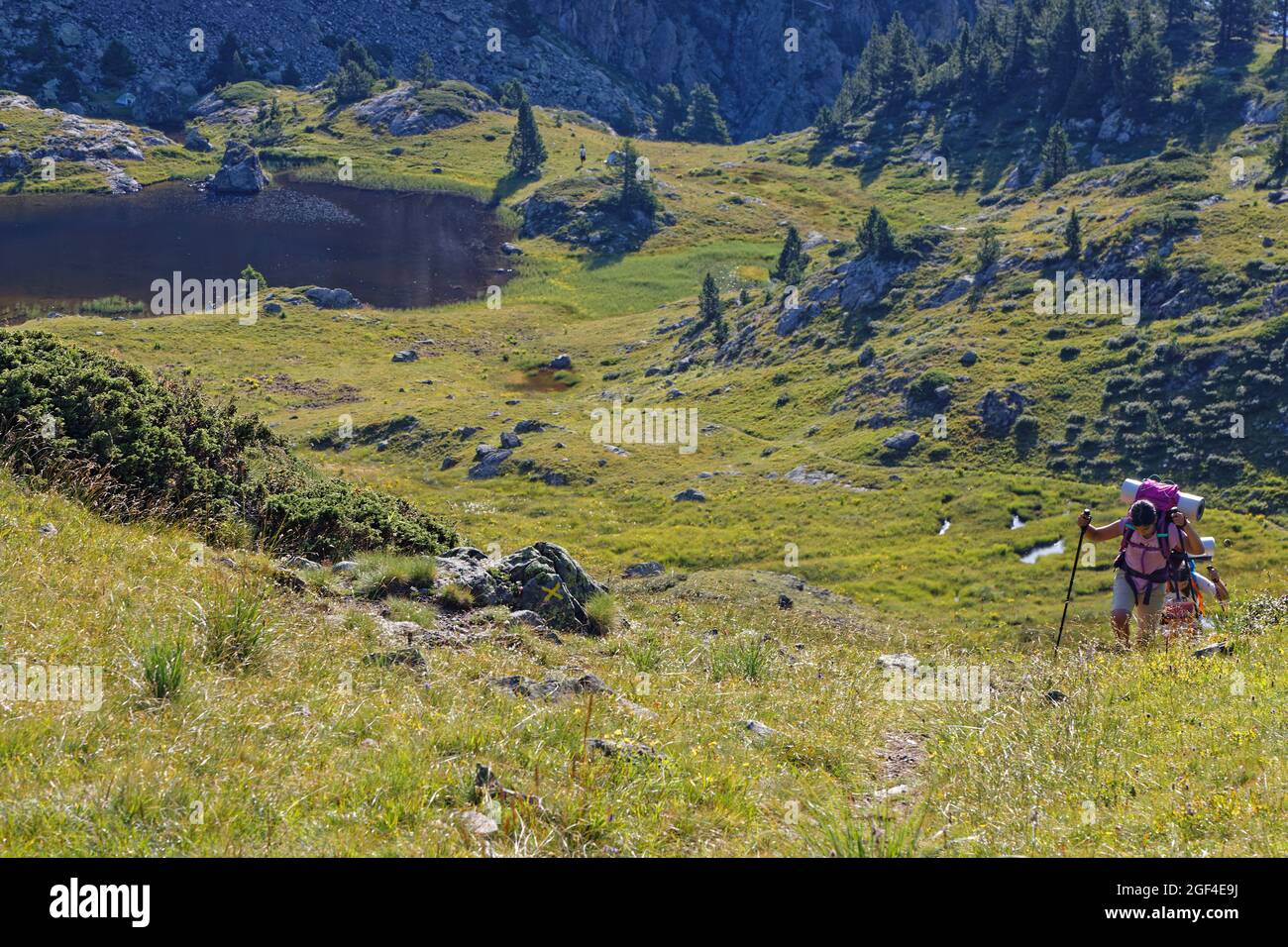 Escalade de pentes herbeuses sur un petit lac de montagne dans les Alpes françaises Banque D'Images