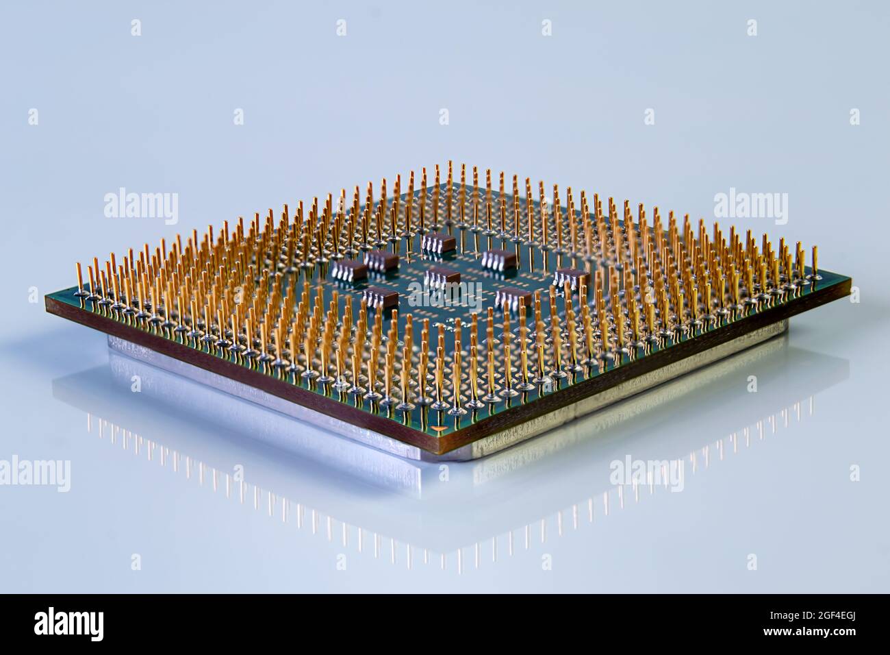 gros plan de l'unité centrale du processeur de l'ordinateur avec des broches dorées sur fond blanc avec réflexion Banque D'Images