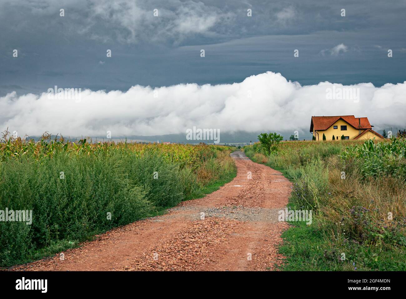 Route de campagne menant à des nuages très bas à l'arrière d'un front froid dans le paysage roumain Banque D'Images