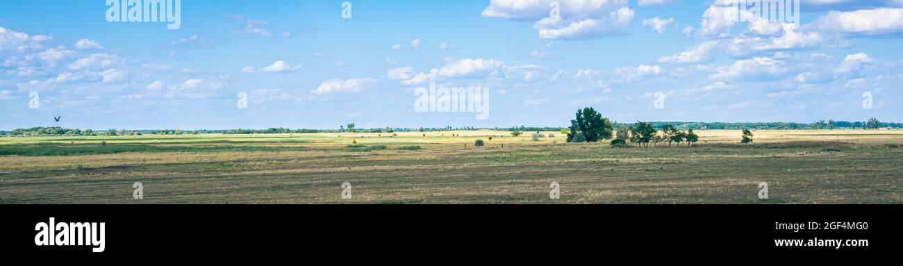 Panorama de la chatzta ou de la plaine hongroise Banque D'Images