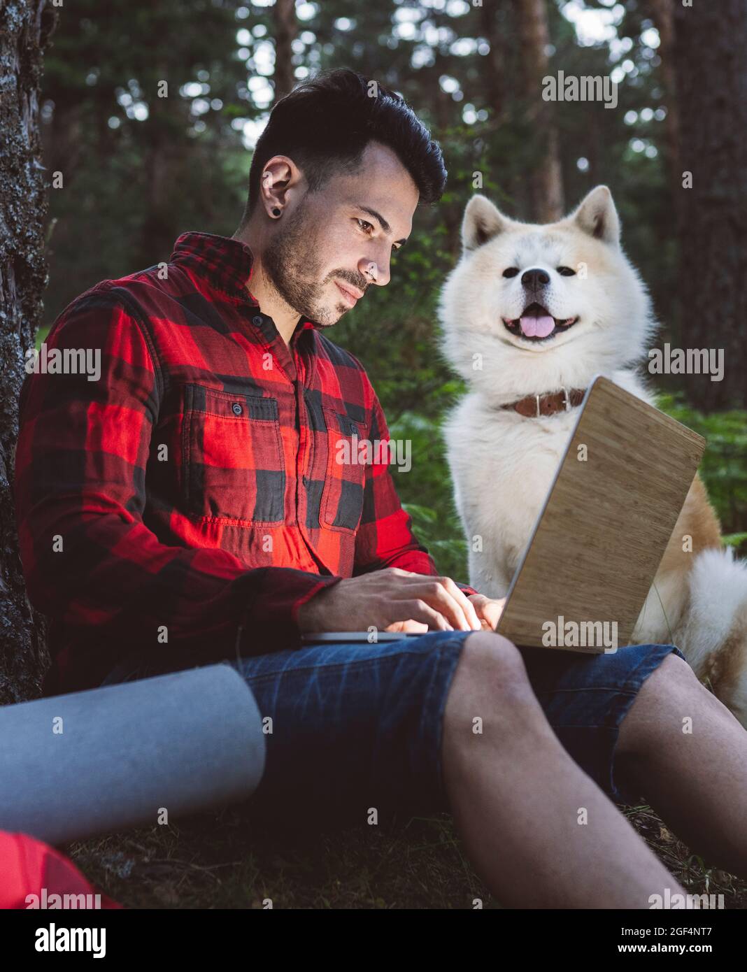 Homme travaillant à travers un ordinateur portable tout en étant assis près d'un animal de compagnie à la forêt Banque D'Images