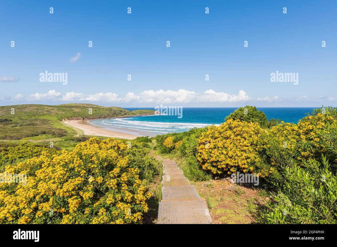 Sentier côtier dans le parc national de Killalea Banque D'Images