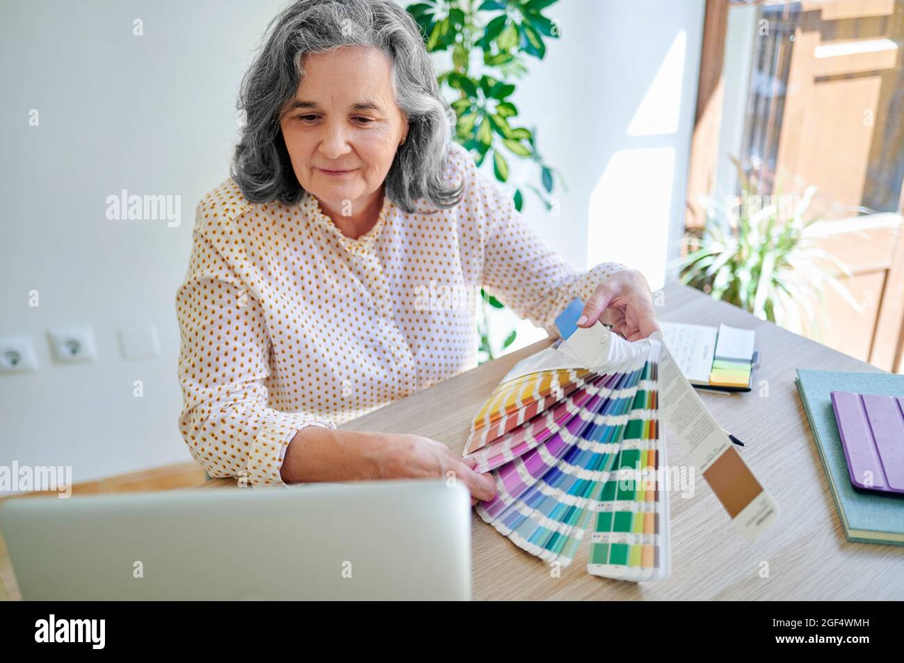Professionnel de la conception féminine montrant une nuance de couleur lors d'un appel vidéo via un ordinateur portable Banque D'Images
