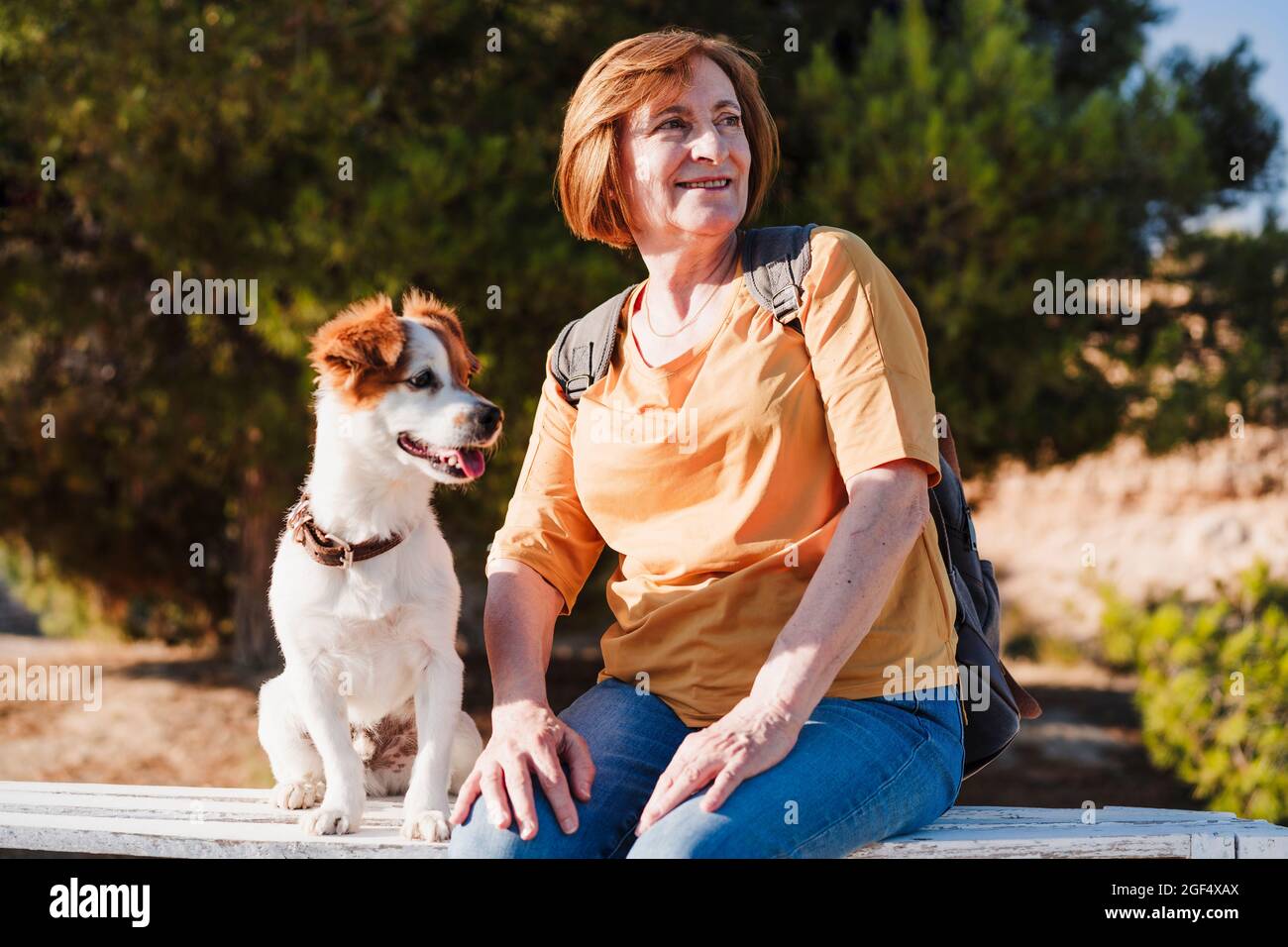 Femme âgée souriante qui regarde loin tout en étant assise avec un chien sur un banc Banque D'Images