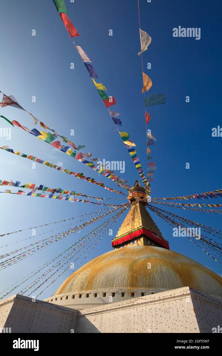 Népal, province de Bagmati, Katmandou, drapeaux de prière accrochés au sommet de Boudhanath stupa Banque D'Images
