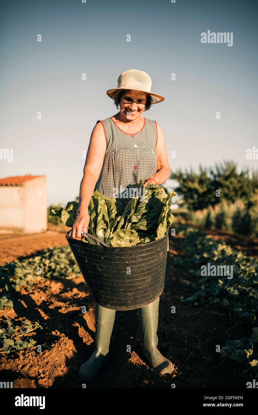 Femme agricole senior souriant tout en tenant le panier dans le potager Banque D'Images