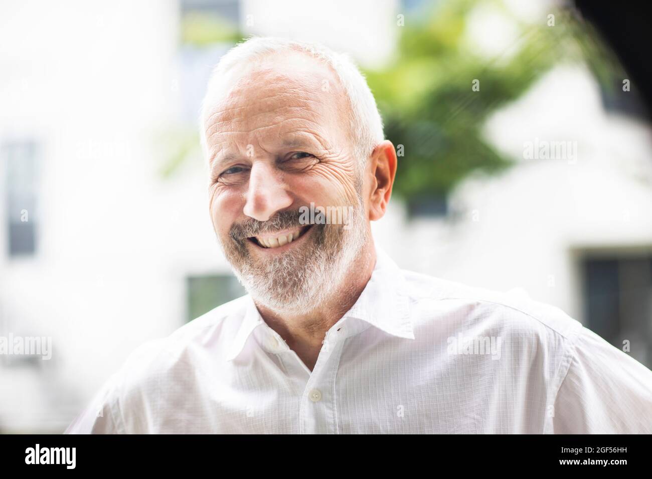 Homme d'affaires joyeux avec une barbe blanche Banque D'Images