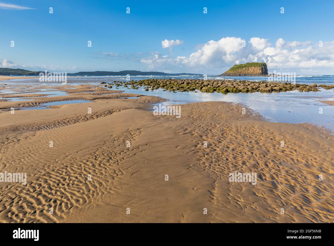 Minnamurra Beach en été avec Stack Island en arrière-plan Banque D'Images