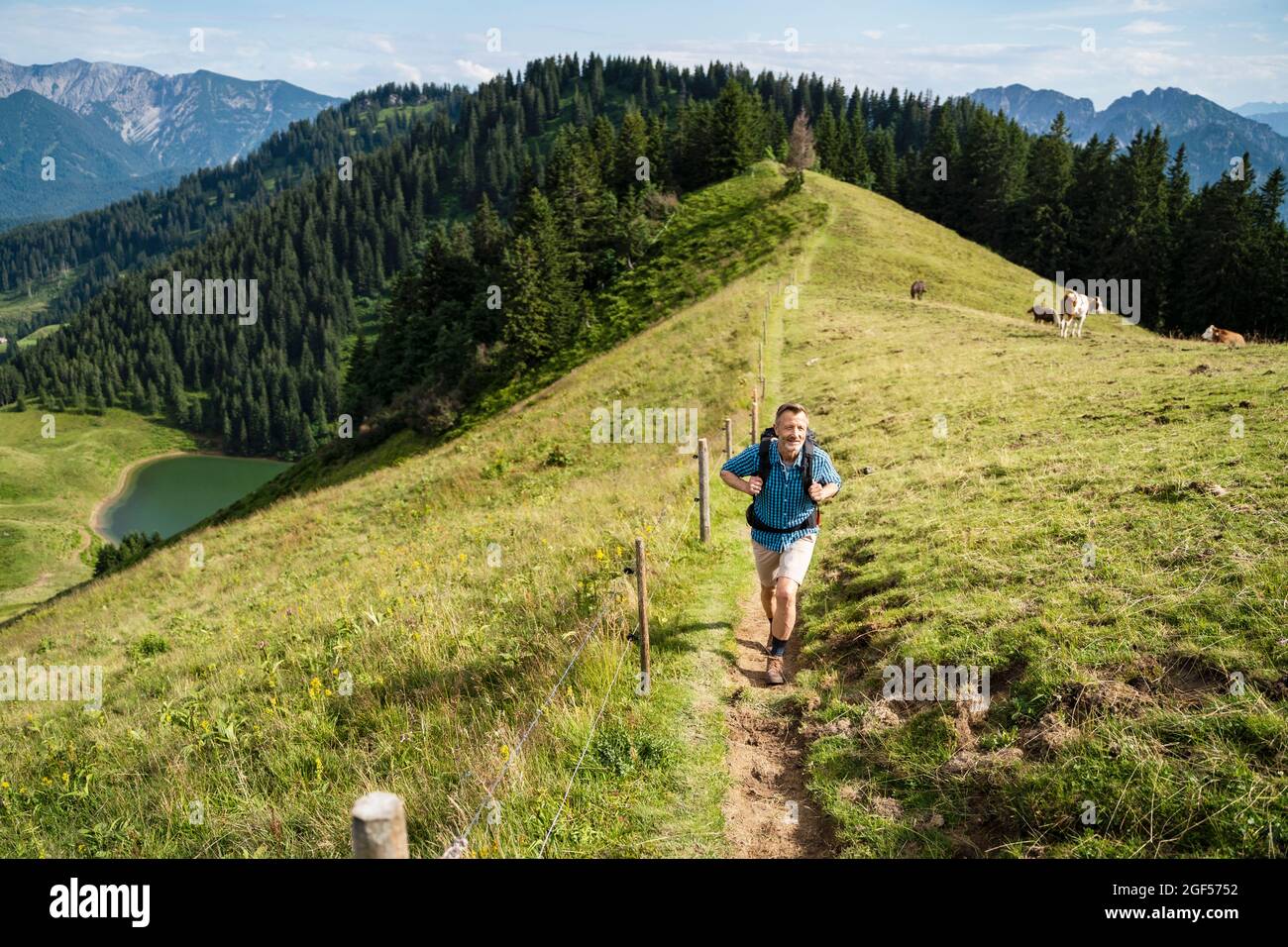 Randonnée de randonneurs mâles sur le sentier de montagne pendant la journée ensoleillée Banque D'Images