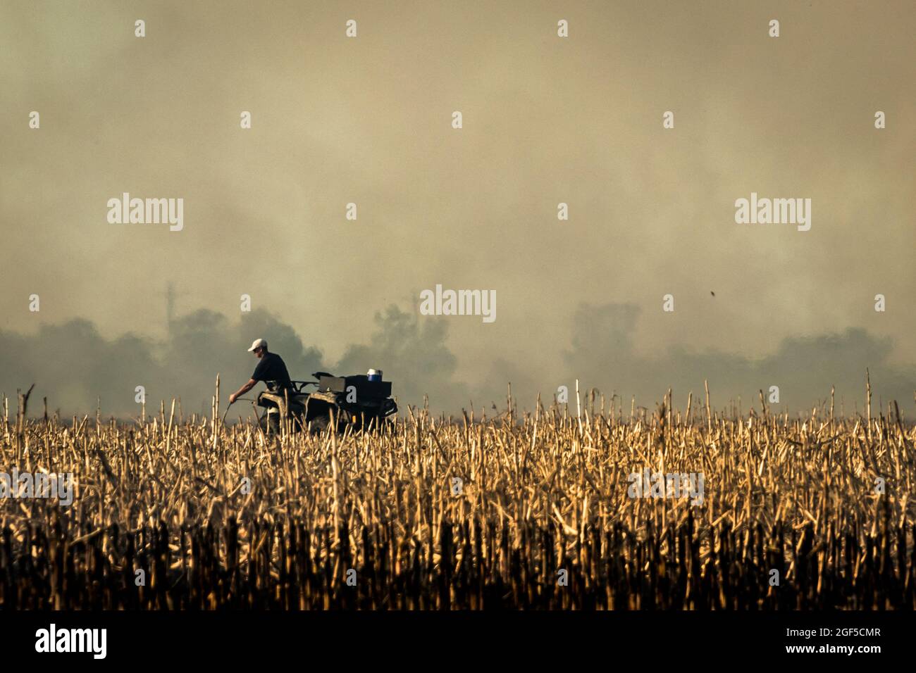 Silhouette de fermier anonyme luttant contre le feu dans le champ agricole avec toute la fumée et la brume de chaleur, feu chaud dans le champ agricole agricole Banque D'Images