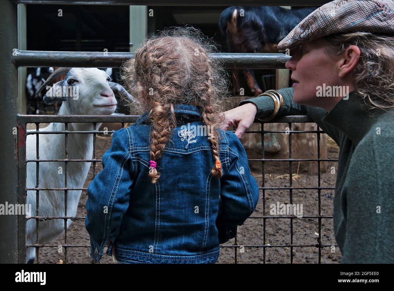 Interaction enfant et chèvre au zoo pour enfants Banque D'Images