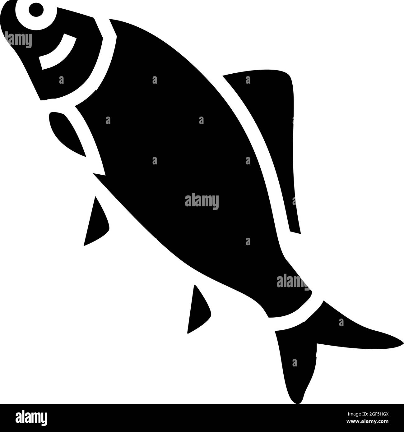 illustration du vecteur d'icône de glyphe de carpe crocian Illustration de Vecteur