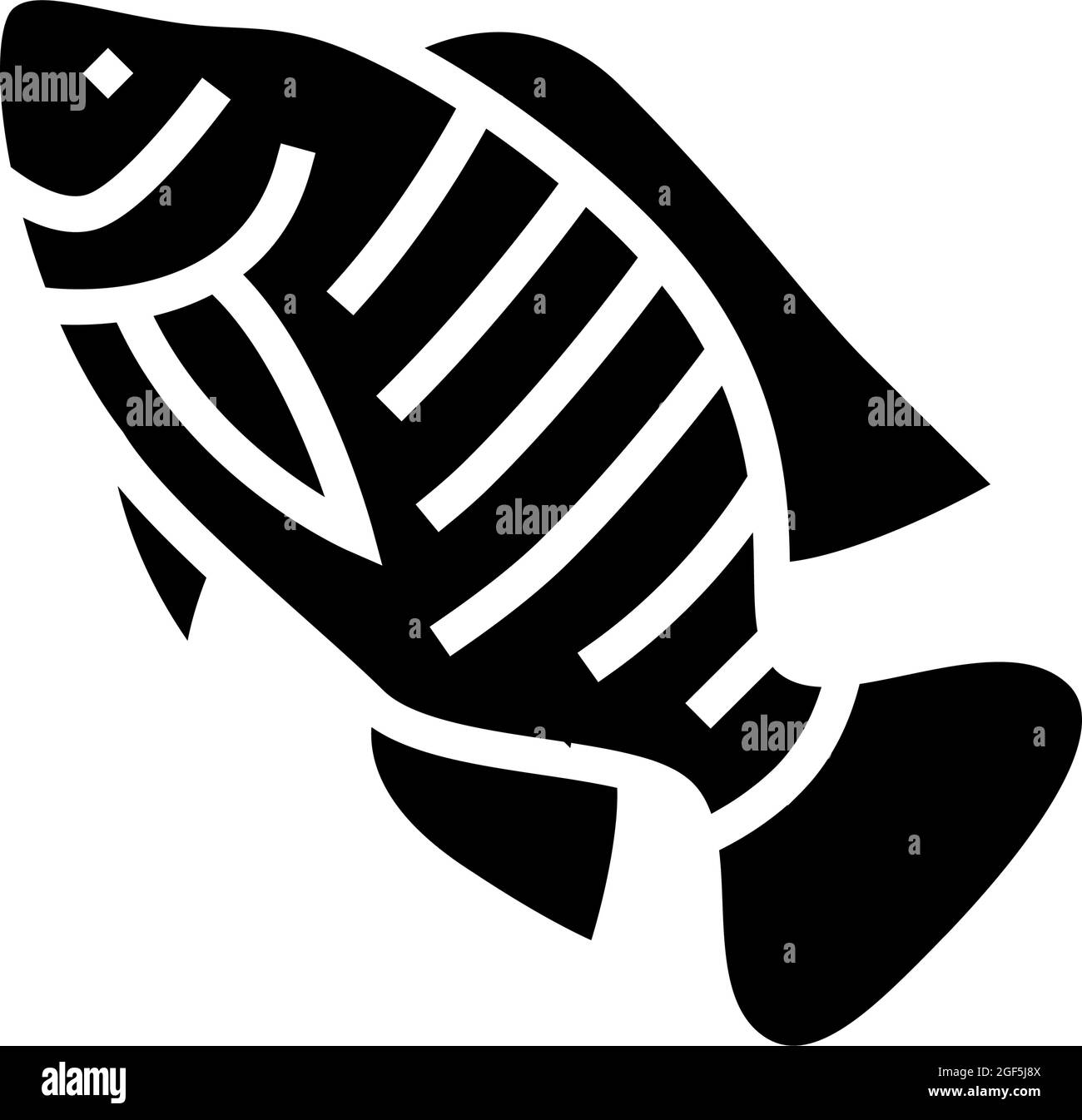 illustration d'un vecteur d'icône de glyphe de tilapia du nil Illustration de Vecteur