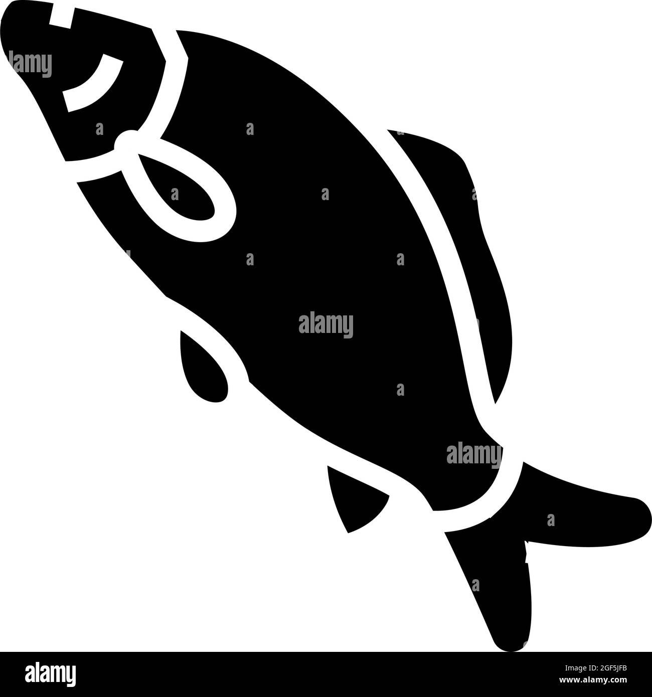 illustration d'un vecteur d'icône de glyphe de carpe commun Illustration de Vecteur