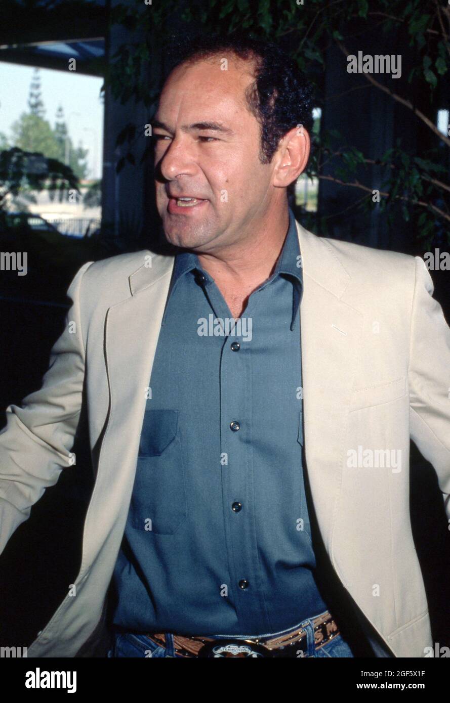 Stuart Margolin Circa années 80 crédit: Ralph Dominguez/MediaPunch Banque D'Images