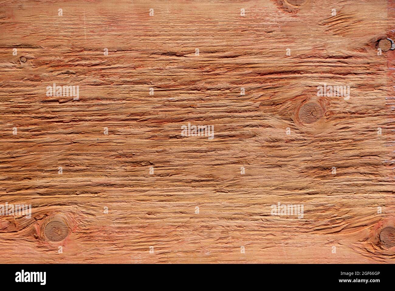 Gros plan d'une planche en bois à la texture de couleur riche et aux trous de nœud Banque D'Images