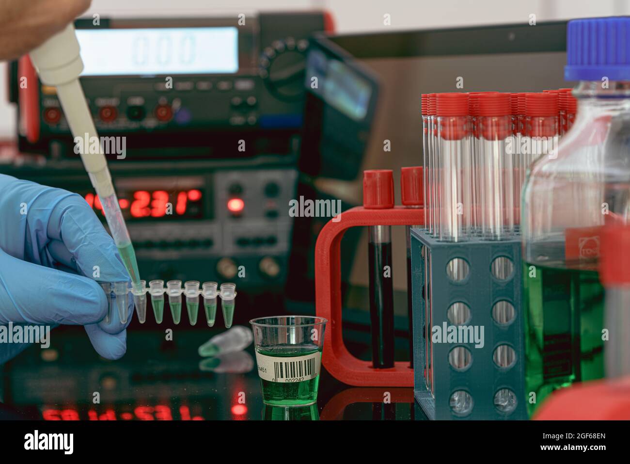 Préparation d'échantillons pour la spectrométrie de masse dans un laboratoire scientifique. Remplissage des tubes à essai avec des échantillons à l'aide d'une pipette et d'instruments de mesure sur le b Banque D'Images