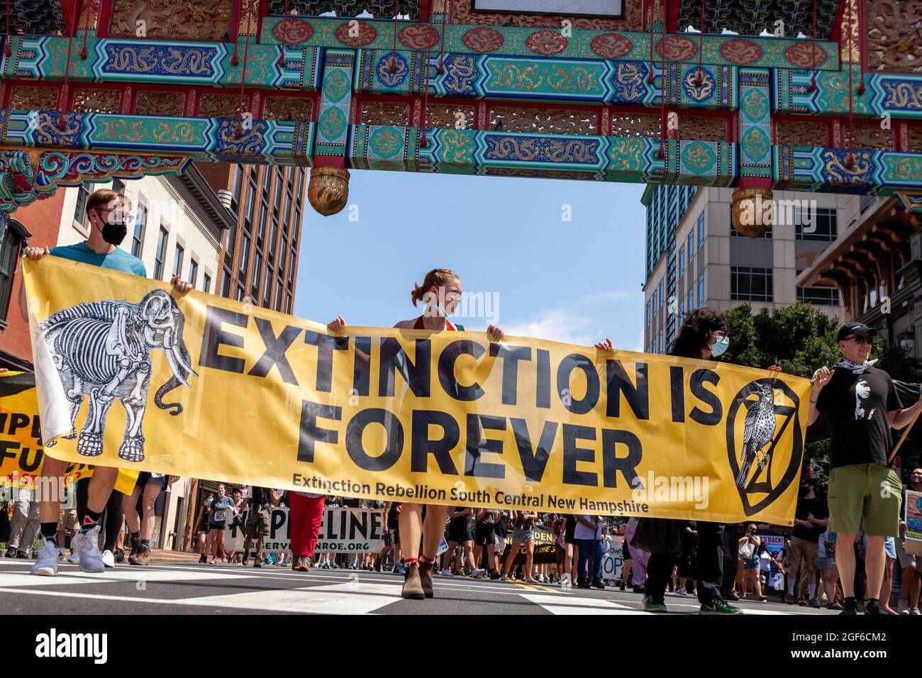 Washington, DC, Etats-Unis, 23 août 2021. Photo : les membres de la rébellion d'extinction du New Hampshire portent une grande bannière lors d'une marche contre le pipeline de la ligne 3 d'Enbridge, parrainé par la fermeture de DC et la rébellion d'extinction, passe sous la porte de Chinatown. Le pipeline traverse les terres visées par le traité et les eaux de amont du fleuve Mississippi pour transporter du pétrole de sables bitumineux du Canada. Ses impacts écologiques et climatiques au cours des 50 prochaines années seront comparables à la construction et à l'exploitation de 50 centrales au charbon. Crédit : Allison Bailey / Alamy Live News Banque D'Images