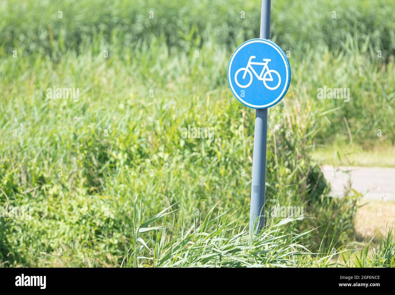 Signalisation routière de piste cyclable ou de sentier pour cyclistes, nature Banque D'Images