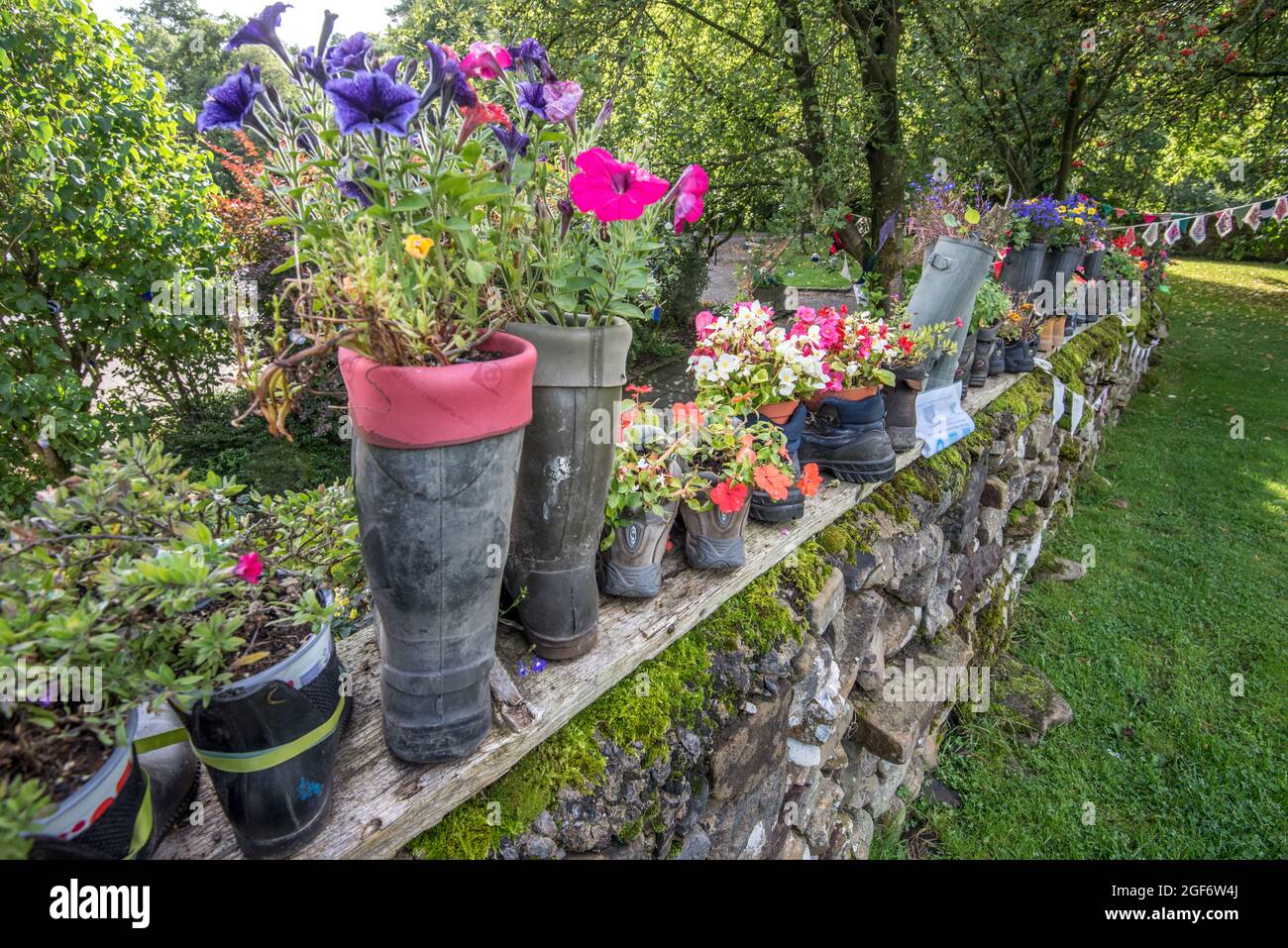 Plantes cultivées dans des bottes anciennes et créées par les membres de l'Institut des femmes d'orge dans le village d'orge, Forest of Bowland, Lancashire Banque D'Images