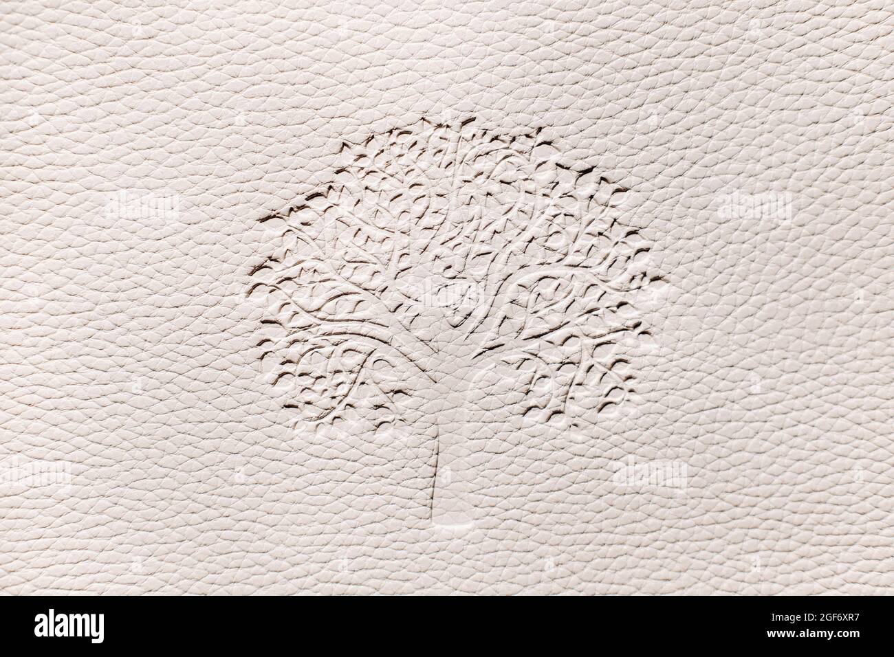 Texture relief avec bois sur fond blanc.fond blanc en similicuir gaufré. Banque D'Images