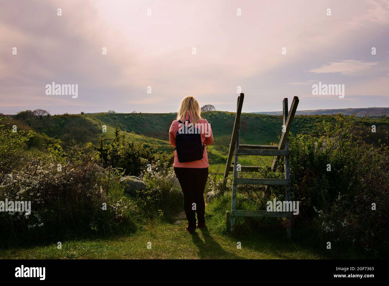Femme marchant sur un sentier de randonnée au coucher du soleil dans un paysage de campagne à Skåne, en Suède. Banque D'Images