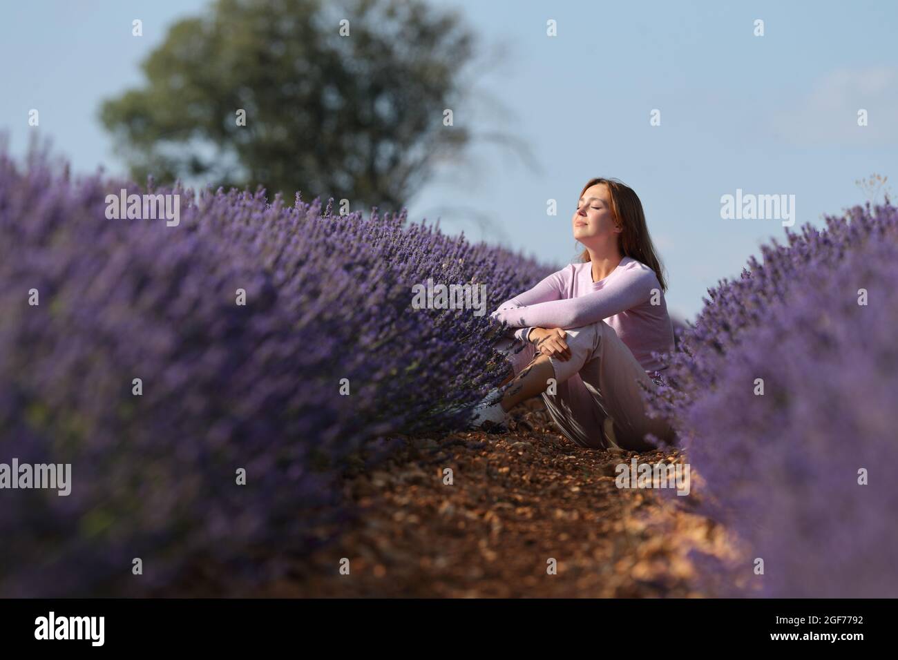 Femme détendue se reposant dans un champ de lavande avec les yeux fermés Banque D'Images