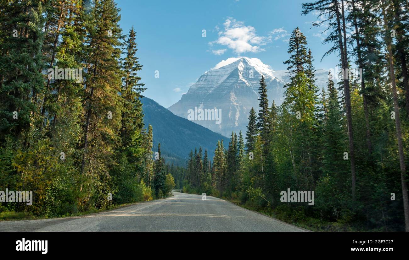 Route, autoroute traversant une forêt, derrière le sommet du Mont Robson, parc provincial du Mont Robson, province de la Colombie-Britannique, Canada Banque D'Images