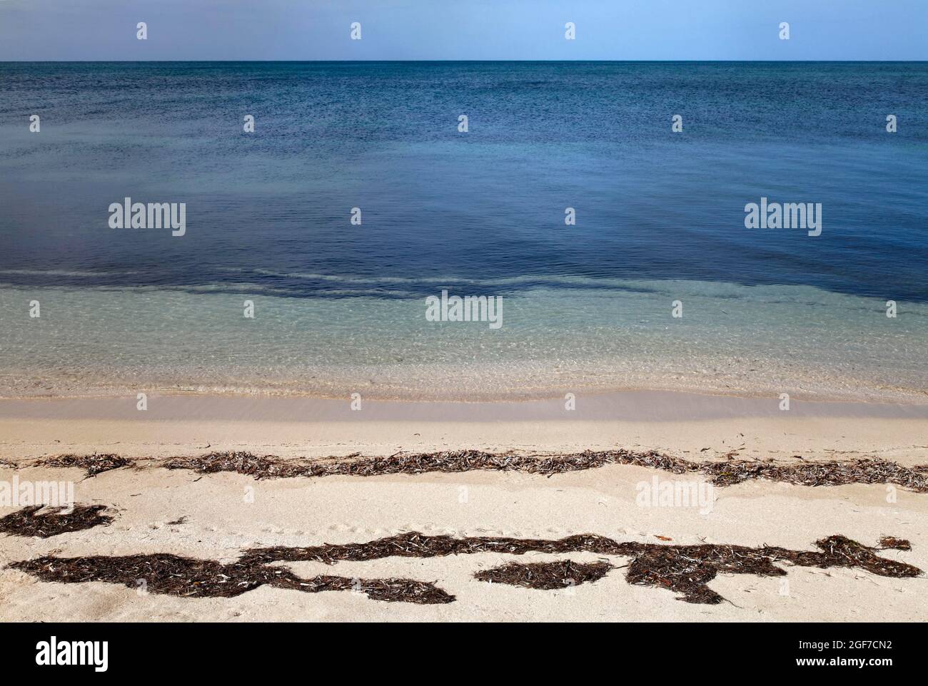 Plage avec algues, mer des Caraïbes calme, horizon, Anclita, Caraïbes, Islande, Cuba Banque D'Images