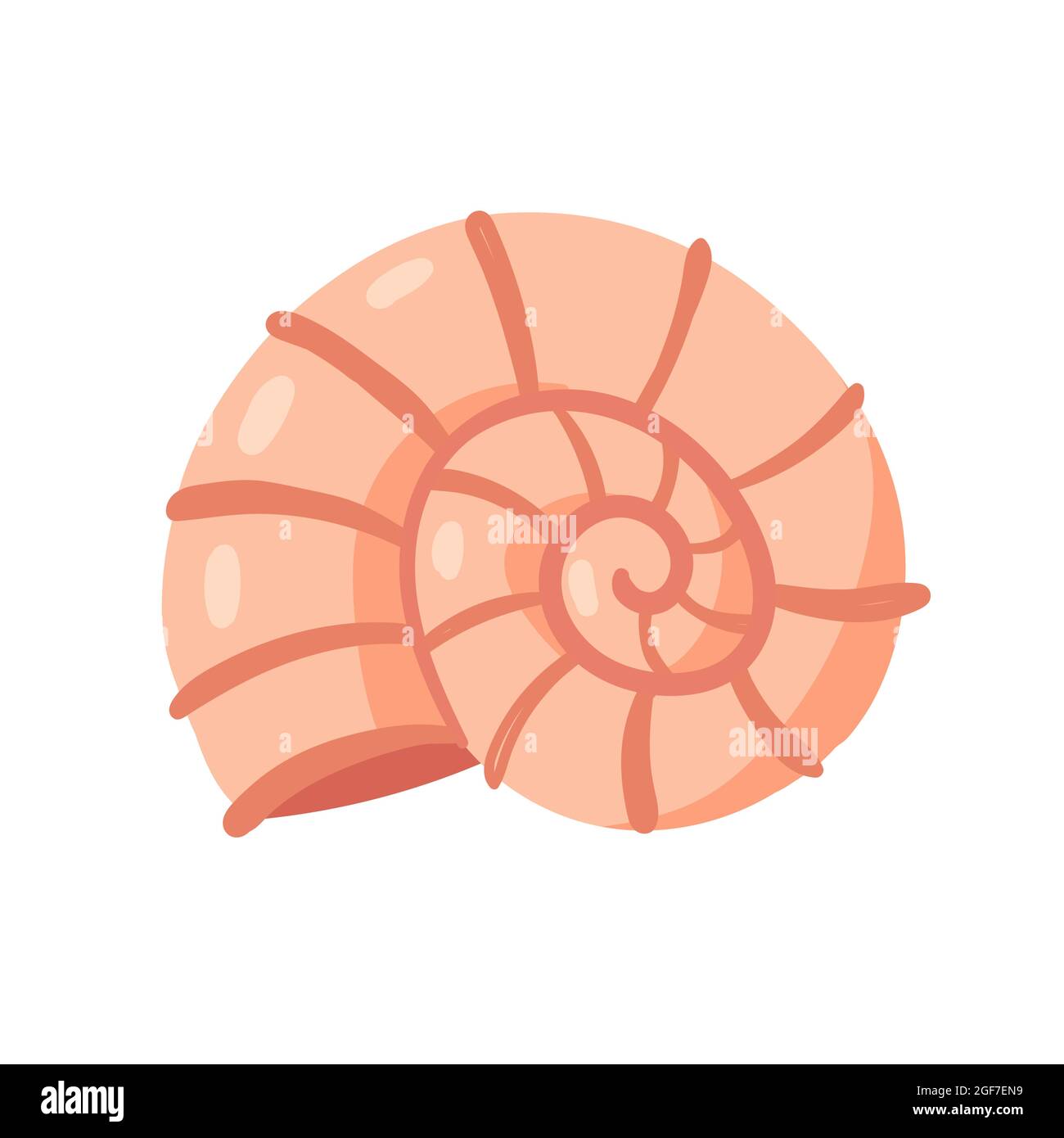 Illustration du vecteur de la vie marine des mollusques en spirale, animal issu de l'océan. Conch de coquillages de dessins animés des eaux de mer tropicales ou de l'aquarium isolé sur blanc Illustration de Vecteur