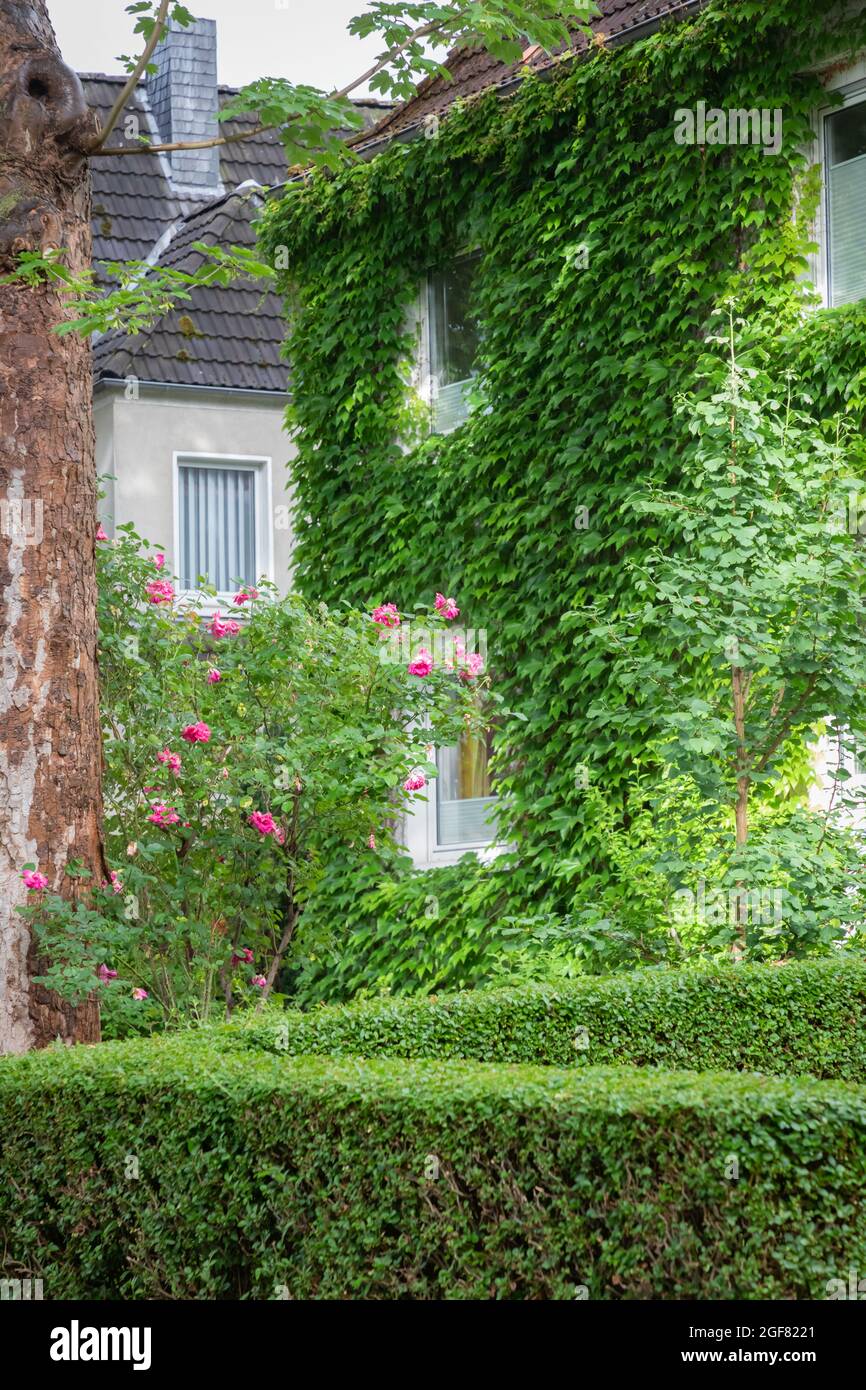 Maisons de mineurs de charbon à Dortmund-Dorstfeld Banque D'Images