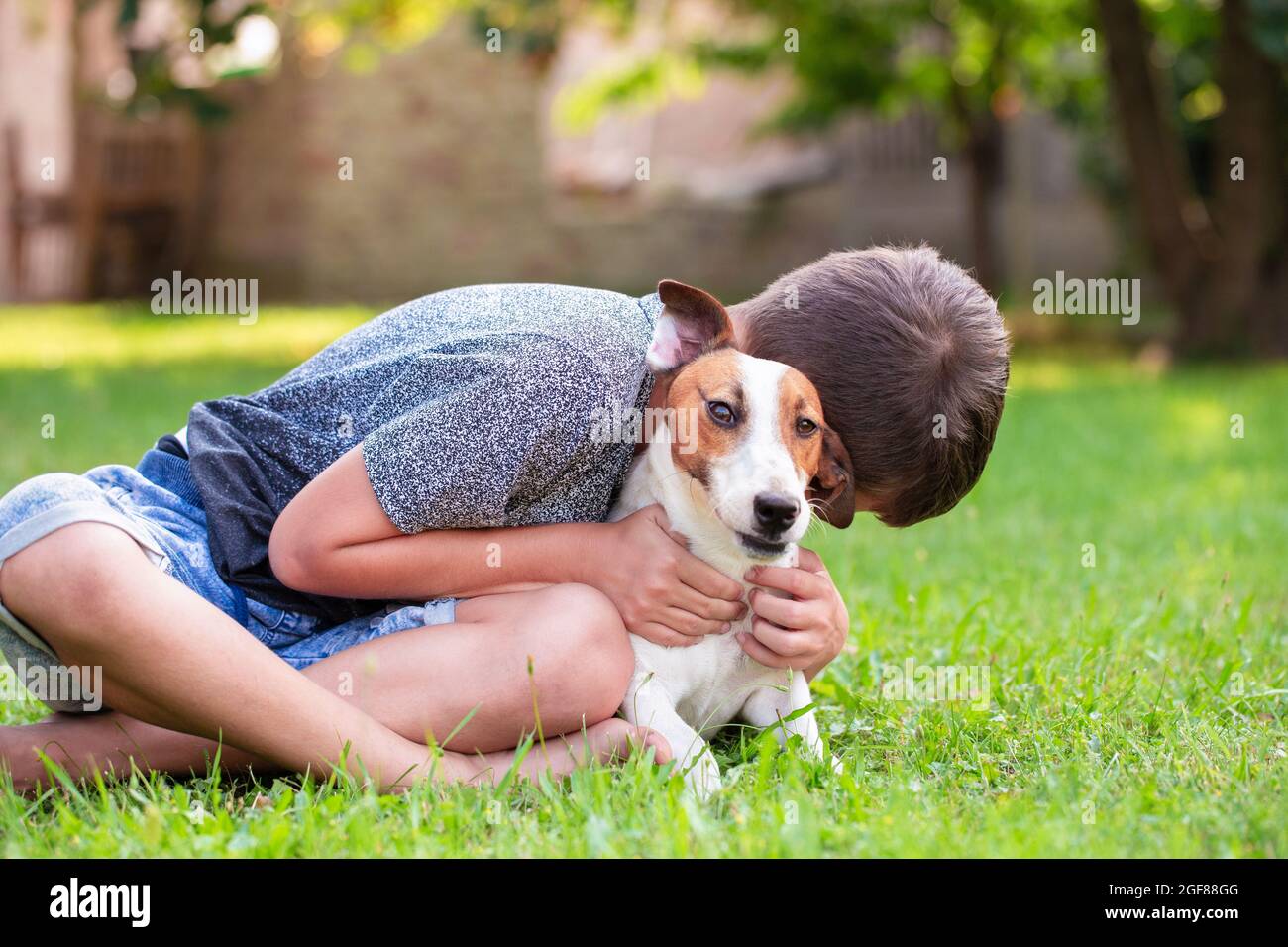 Petit garçon embrassant Jack Russell Terrier en herbe, thérapie canine Banque D'Images