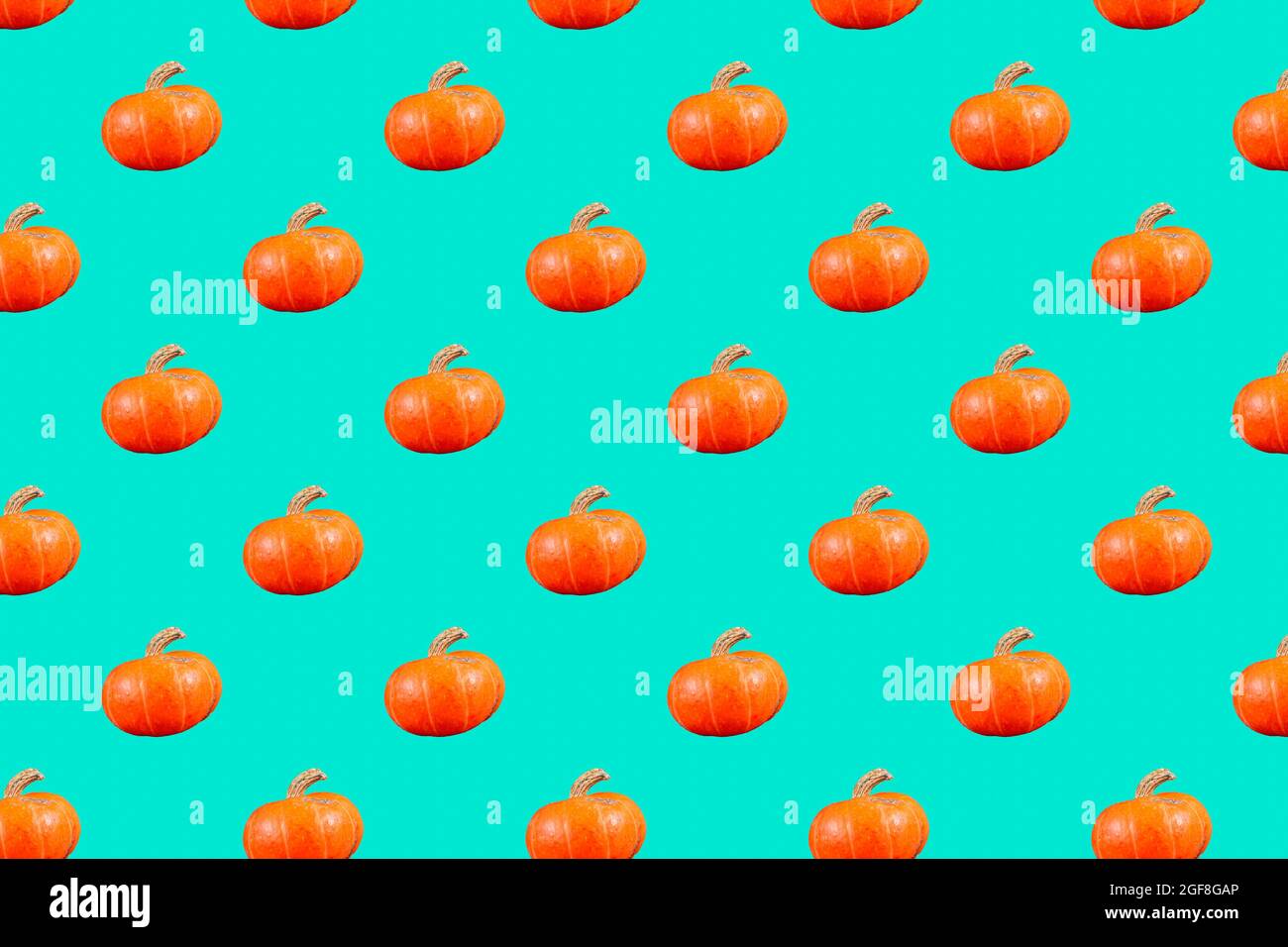 motif de citrouille orange sans couture de couleur vert menthe Banque D'Images