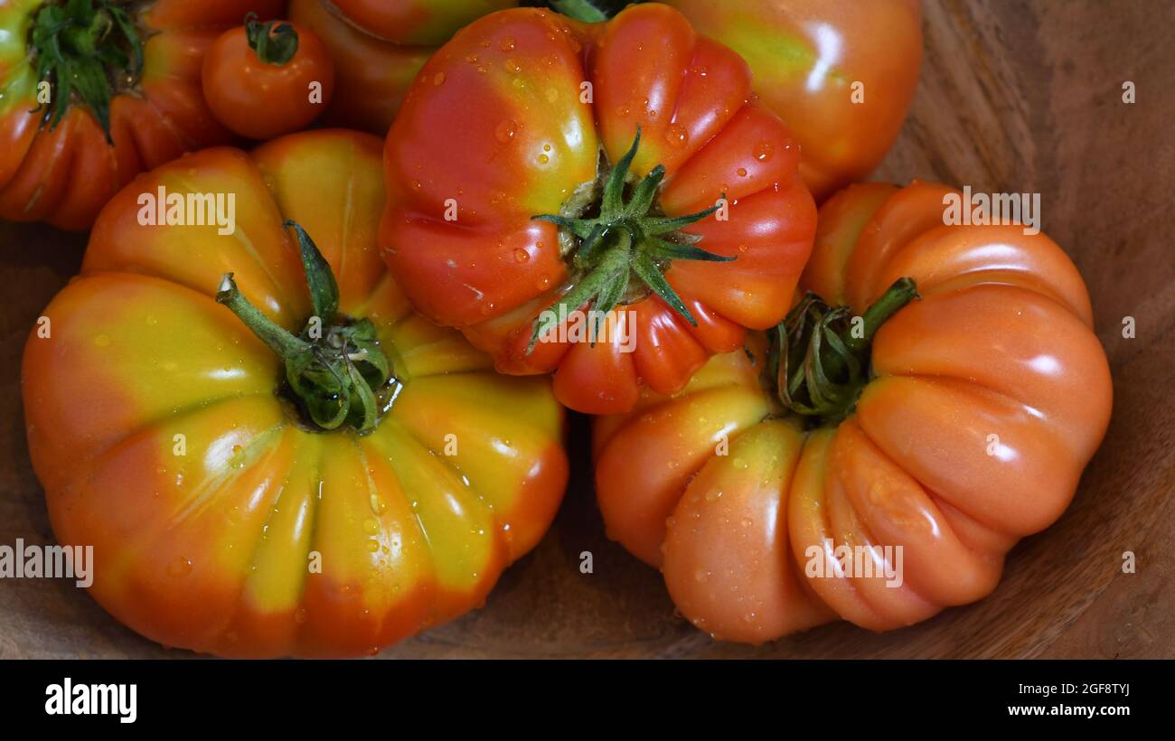 Un choix de tomates Beefsteak maison Banque D'Images