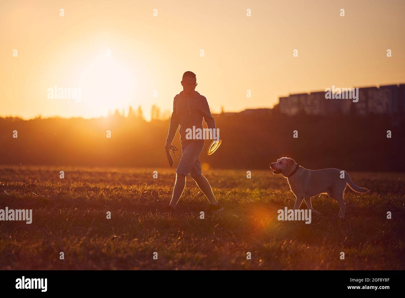 Homme avec chien au beau coucher du soleil. Silhouette du propriétaire de l'animal avec labrador Retriver pendant la marche sur le terrain. Banque D'Images