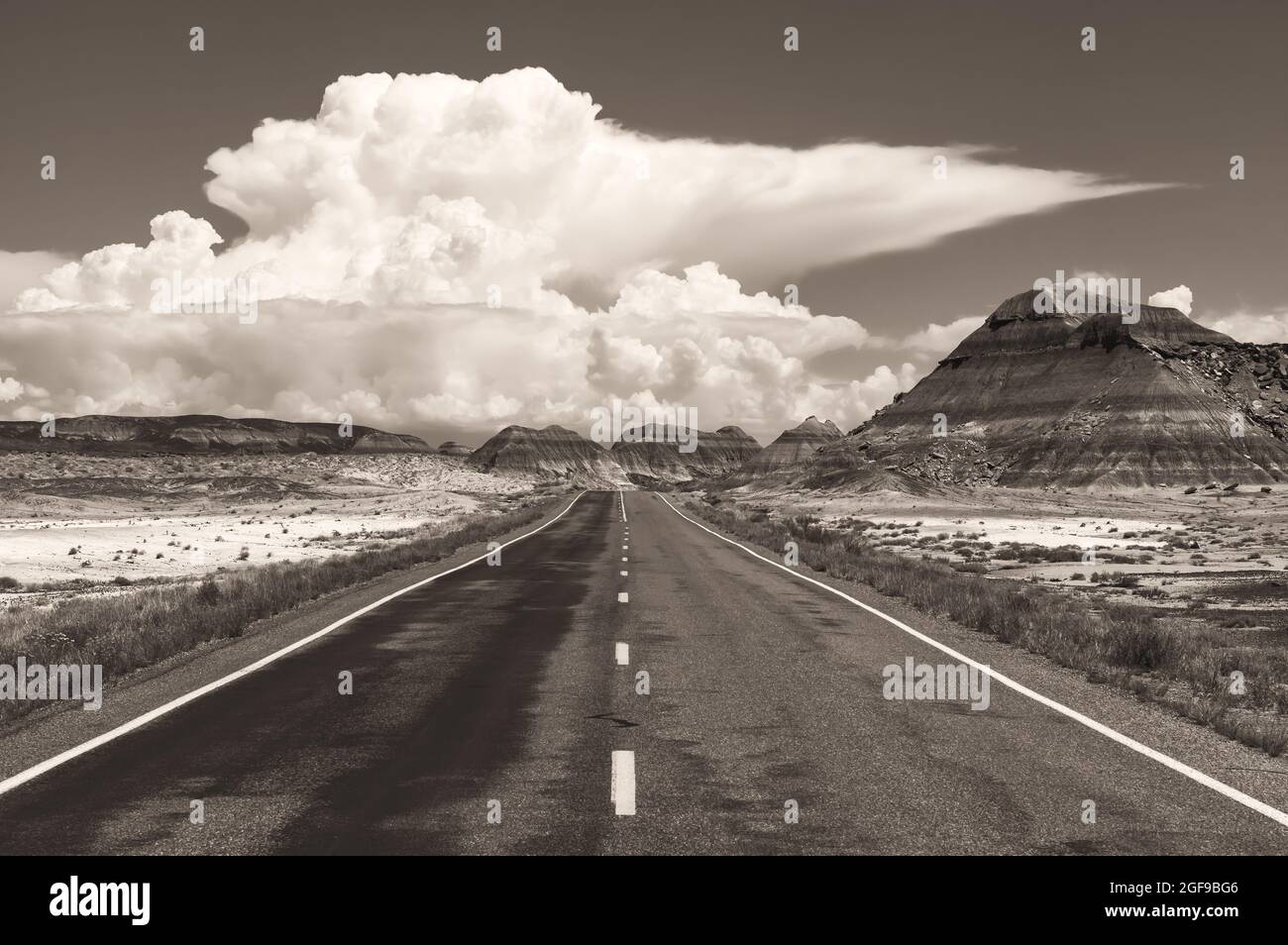 Route pittoresque à l'intérieur du parc national de la Forêt pétrifiée, avec vue sur les nuages cumulonimbus en arrière-plan, Arizona, États-Unis. Banque D'Images