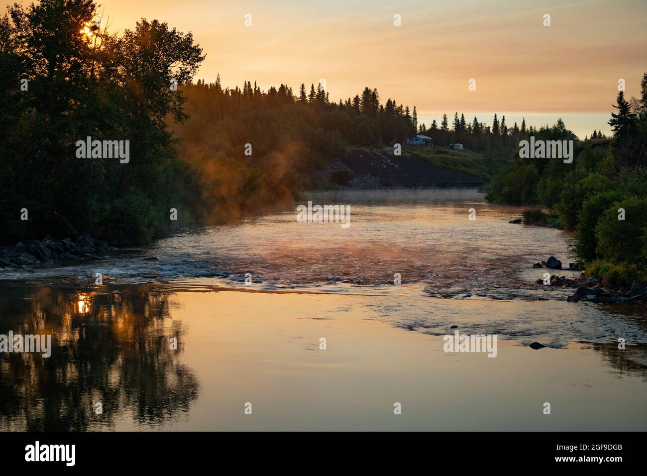 Rivière Nautley pendant la course de saumon. Banque D'Images