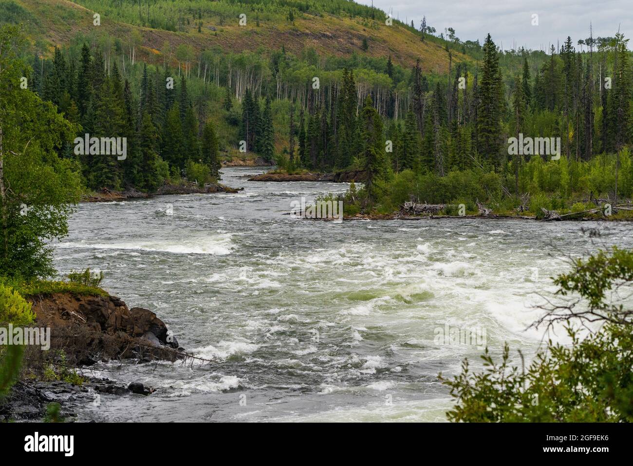 Rivière Nechako en aval des chutes Cheslatta. Banque D'Images