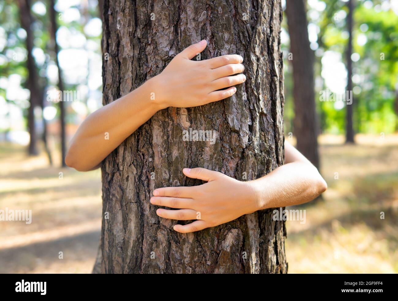 Gros plan des mains des femmes qui embrasent un arbre dans un parc Banque D'Images